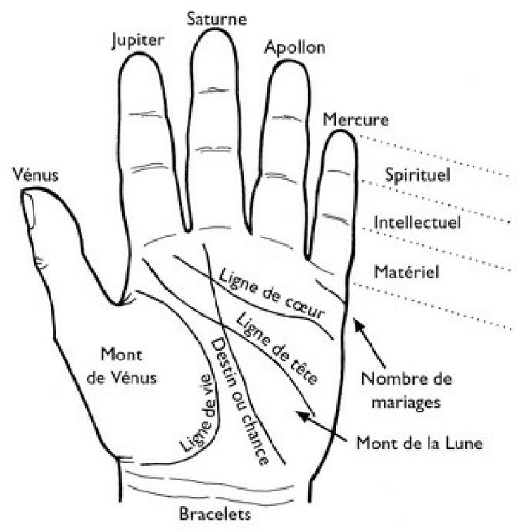 lignes de la paumes de la main